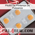 Power Spring Pills 24